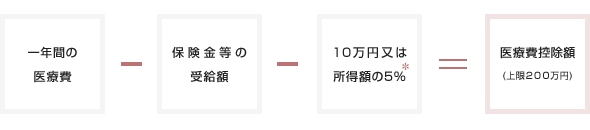 医療費控除額 （課税対象から控除される金額です）