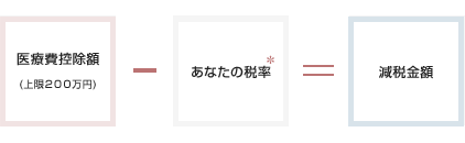 医療費控除額（課税対象から控除される金額です）